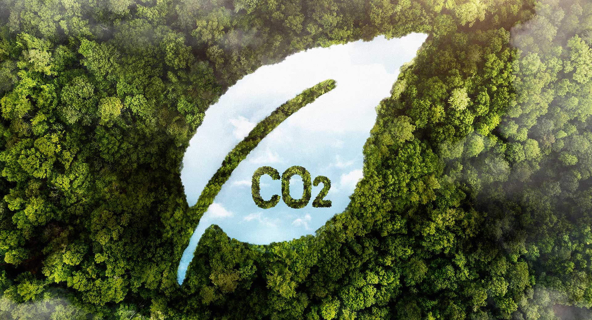 可持续发展 双碳战略