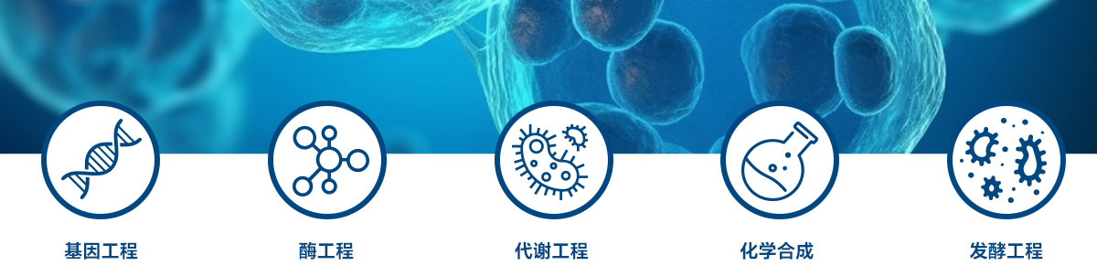 中国银河集团
技术实力